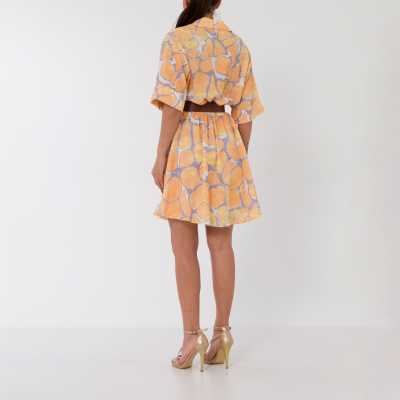 ������ ���� ��������� ����� � ����� Katleya ochre